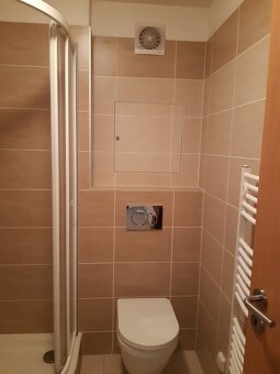 Pronájem bytu 1+kk Mníšek p.Brdy - 6
