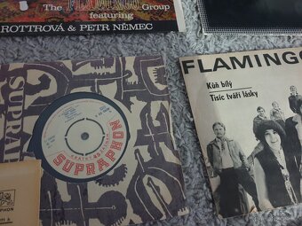 Flamingo, Marie Rottrová LP SP kolekce - 6