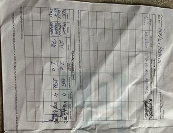 Fena NKO (Německý krátkosrstý ohař) - 6