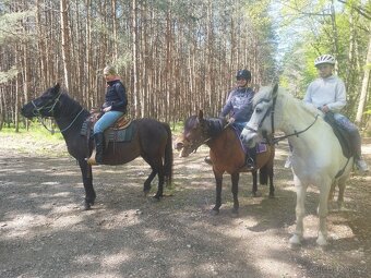 Lesní jezdecké tábory a příměstské tábory - 6