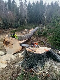 Rizikové kácení,těžba dřeva - 6