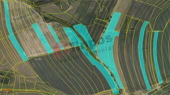 Prodej pozemků, 134466 m² v k.ú. Krtov, okres Tábor - 6