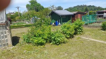 Prodám zahrádku 284 m2, v osobním vlastnictví, Šumperk - 6