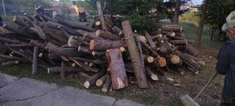 Red Technik Chainsaw RTPSPOO35 Benzínová řětězová pila - 6