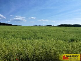 Letovice - zemědělská půda  7 225 m2 - pozemek - 6