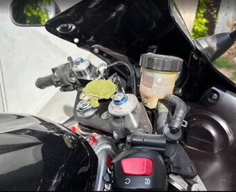 Yamaha YZF R6 2002 - 6