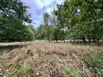 Prodej, pozemku-ostatní plocha, 3072 m2, Karviná - Staré Měs - 6