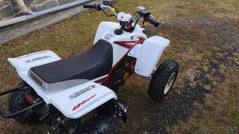 Yamaha YFS blaster 200 - 6