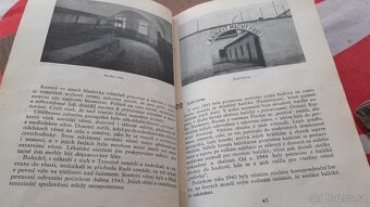 Knížka Malá pevnost Terezín, národní hřbitov, Ghetto - 6
