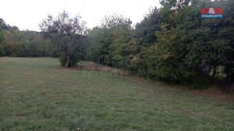 Prodej louky, 12373 m², Jenčice - 6