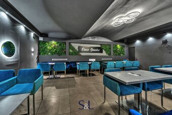 Pronájem stylového lounge baru v Praze, 180 m2 - Vinohrady, - 6