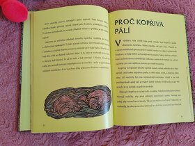Nové hračky, vhodné jako dárek - 6