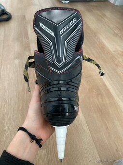 Brusle Bauer Score - 6