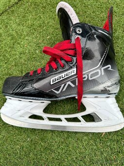 Brusle - bauer vapor x.3.7 - 6