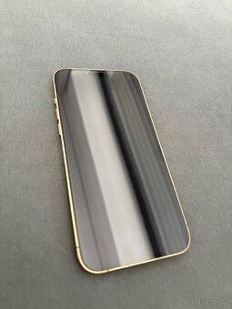 iphone 13 Pro Max 256 GB - 6
