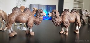 Schleich Safari žirafa velbloud zebra zebry - 6