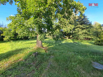 Prodej zahrady, 719 m², Město Albrechtice - 6