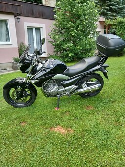 Suzuki GW 250 Inazuma - 6