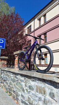 CTM Dirtking expert 2025 - 6