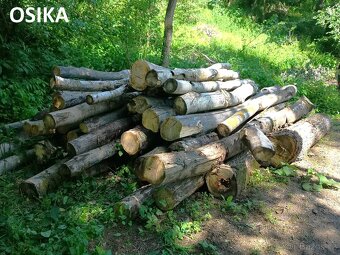 Palivové dřevo - dub, osika - 6
