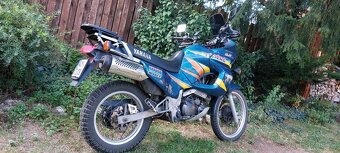 Yamaha XTZ660 Téneré - 6