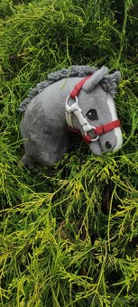 Hobby horse - 6