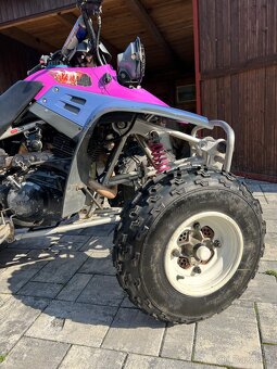 Yamaha YFM 350 Warrior - 6
