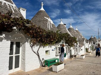Olivový sad 9100m2 u moře - 6