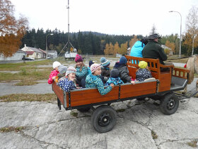 SÁNĚ A VŮZ ZA KONĚ - prodám - 6