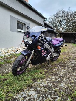 Yamaha FZR 600 Genesis - 6