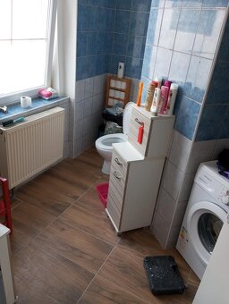 Pronajmu 3+1 v Aši - 6