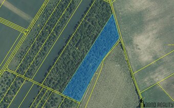 Prodej sadu, 22 292  m2 , Hustopeče u Brna - 6