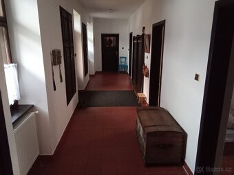 Spolubydlící ženu. - 6