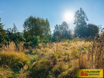 Křižanov, pozemek pro stavbu domu 2.360 m2, dům k rekonstruk - 6