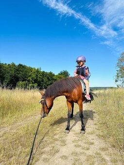 Hodná osmiletá ponička - 6