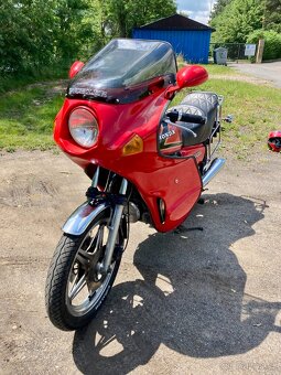 Honda CX 500 PICHLER - 6
