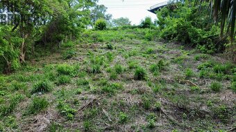 Isery Main Road, Roatan - 6