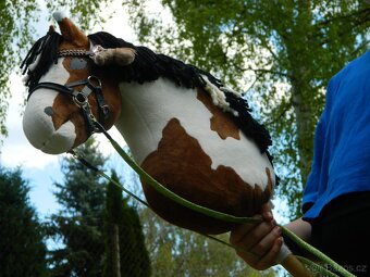 Hobby horse - 6