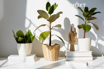 Prodej Rodinný dům, 106㎡ - 6