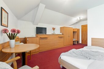 Prodej zavedený penzion Bocheta, Nový Jičín, Pod Skalkou - 6
