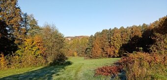 Petřvald 19 320 m2. - 6