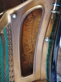 Krátké křídlo s tlumičem - černý lesk - 6