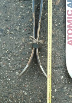 Prodám staré lyže/lyže - 6