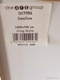 Obraz na plátně tisk - KISS and Swallow - 6