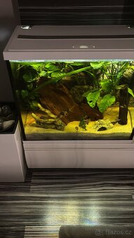 Akvárium - 6