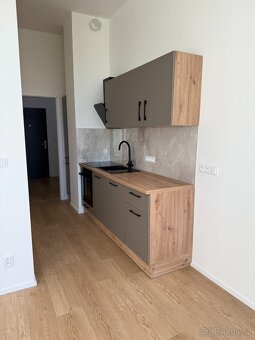 Pronájem nového bytu 1+kk se spacím koutem, terasou, zahrado - 6