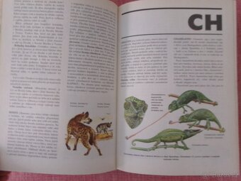 Od agamy po žraloka: Velký ilustrovaný slovník... - 6