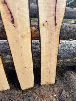 Kaštanové fošny - 6