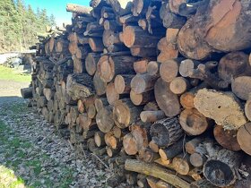 Prodám špalíky a palivové dřevo - 6