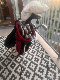 Titliest CB 704 + Taylor Made M2 driver + TM Putter + wedge - 6
